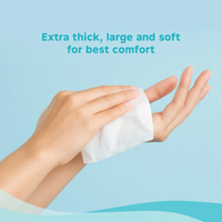 Nateen Wet Wipes