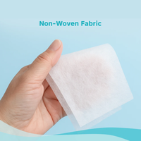 Nateen Wet Wipes